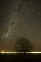 pampa landschap gefotografeerd Bij nacht met een sterrenhemel lucht, la pampa provincie, Patagonië , Argentinië. foto