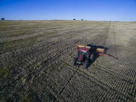 trekker y maquinaria agricola , sembrando, la pampa, Argentinië foto