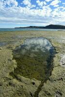 kust- landschap met kliffen in schiereiland valdes, wereld erfgoed plaats, Patagonië Argentinië foto