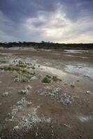 salpeter Aan de verdieping van een lagune in een semi woestijn omgeving, la pampa provincie, Patagonië, Argentinië. foto