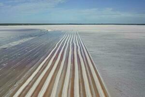 zout oogst in zout lagune de mijne, salinas grandes de hidalgo, la pampa, Patagonië, Argentinië. foto