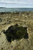 kust- landschap met kliffen in schiereiland valdes, wereld erfgoed plaats, Patagonië Argentinië foto