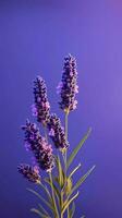 lavendel Purper bloem wazig achtergrond. ai gegenereerd foto