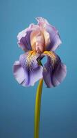 iris bloem Purper bloemblad wazig achtergrond. ai gegenereerd foto