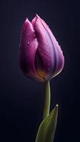 Purper tulp tulipa bloem behang achtergrond. ai gegenereerd foto