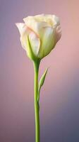 lisianthus bloem macro foto behang achtergrond. ai gegenereerd