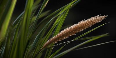 groen gras wazig behang achtergrond. ai gegenereerd foto