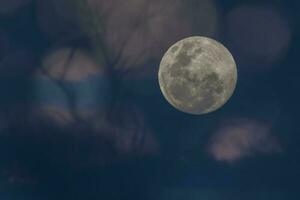 maan in de nacht lucht , achtergrond foto