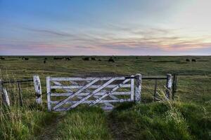 veld- poort in platteland, Patagonië , Argentinië foto
