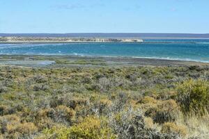 laag tij strand, schiereiland valdes, Patagonië, Argentinië foto