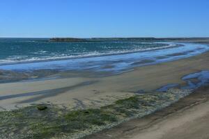 laag tij strand, schiereiland valdes, Patagonië, Argentinië foto