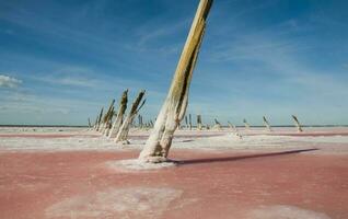 historisch stoffelijk overschot van oud zout exploitatie, salinas groots, la pampa, Argentinië. foto