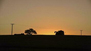 oogstmachine in pampa platteland, antenne visie, la pampa provincie, Argentinië. foto