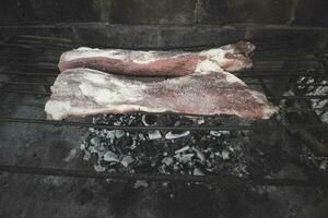 rauw vlees zetten Aan de grill, traditioneel Argentijns keuken, asado barbecue, Patagonië, Argentinië. foto