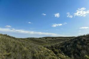 pampa gras landschap, la pampa provincie, Patagonië, Argentinië. foto