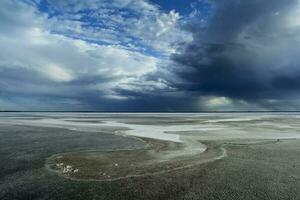 gebroken droog bodem in een pampa lagune, la pampa provincie, Patagonië, Argentinië. foto