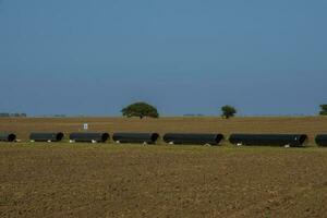 gas- pijpleiding bouw, la pampa provincie , Patagonië, Argentinië. foto