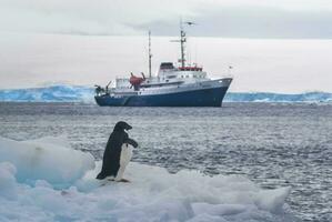 expeditie schip, reis in antarctisch landschap, paulet eiland, in de buurt de antarctisch schiereiland foto