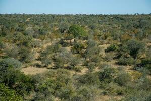 Afrikaanse savanne landschap foto