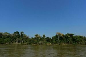 rivier- landschap en oerwoud, pantanal, Brazilië foto