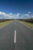 route in de pampa vlak, Patagonië, Argentinië foto