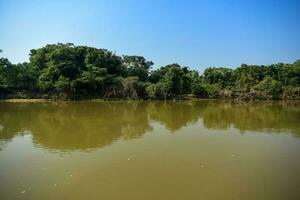 rivier- landschap en oerwoud, pantanal, Brazilië foto