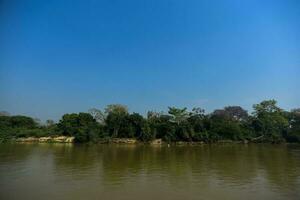 rivier- landschap en oerwoud, pantanal, Brazilië foto