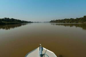 rivier- landschap en oerwoud, pantanal, Brazilië foto