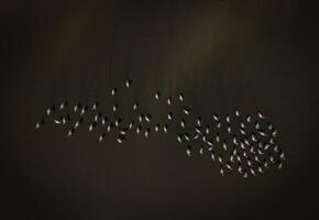 flamingo's kudde in Patagonië, antenne uitzicht, argentinië foto