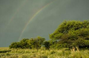 Woud landschap, met regenboog, pampa, Argentinië foto