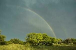 Woud landschap, met regenboog, pampa, Argentinië foto