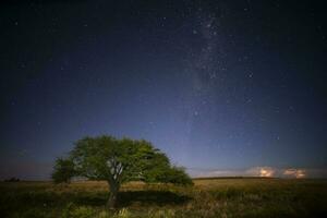 pampa landschap gefotografeerd Bij nacht met een sterrenhemel lucht, la pampa provincie, Patagonië , Argentinië. foto