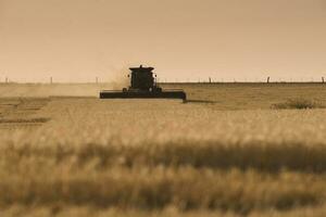 oogstmachine machine, oogsten in de Argentijns platteland, buenos aires provincie, Argentinië. foto
