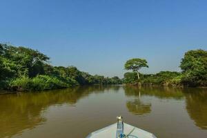 rivier- landschap en oerwoud, pantanal, Brazilië foto