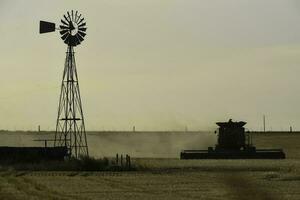 oogstmachine machine, oogsten in de Argentijns platteland, buenos aires provincie, Argentinië. foto