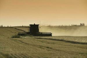 oogstmachine machine, oogsten in de Argentijns platteland, buenos aires provincie, Argentinië. foto