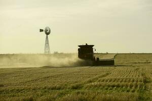 oogstmachine machine, oogsten in de Argentijns platteland, buenos aires provincie, Argentinië. foto