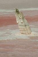 historisch stoffelijk overschot van oud zout exploitatie, salinas groots, la pampa, Argentinië. foto