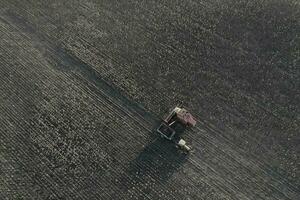 tarwe oogst in de Argentijns platteland, la pampa provincie, Patagonië, Argentinië. foto