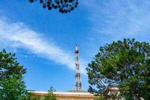 radio communicatie antenne Aan blauw lucht achtergrond en groen boom foto