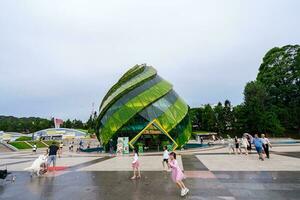 da lat, viet naam - 3 juni 2023 bouwkundig werken van artisjok bloemen, iconisch in da lat stad foto