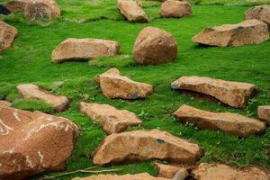 rots in gras. natuurlijk structuur achtergrond. groot steen Aan groen gazon. foto