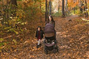 moeder en haar weinig dochter en een baby in kinderwagen Aan wandelen in herfst hout foto