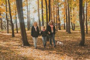 grootmoeder en moeder met kleindochter wandelingen samen in herfst park en hebben plezier. generatie, vrije tijd en familie concept. foto