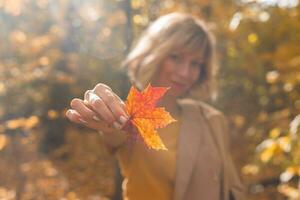 vrouw Holding geel en oranje herfst esdoorn- blad. vallen seizoen foto