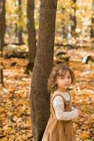 weinig kind meisje in herfst park. levensstijl, vallen seizoen en kinderen concept. foto