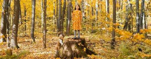banier weinig kind meisjes met herfst oranje bladeren in een park kopiëren ruimte. levensstijl, vallen seizoen en kinderen concept. foto