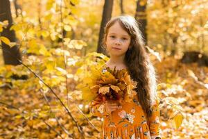 weinig kind meisje met herfst oranje bladeren in een park. levensstijl, vallen seizoen en kinderen concept. foto