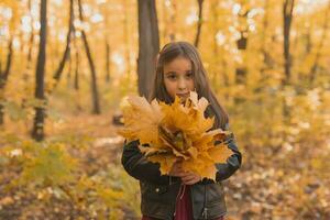 herfst portret van schattig weinig Aziatisch meisje. kinderen, vallen en seizoen concept. foto