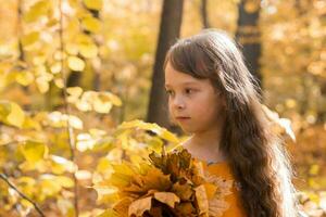 weinig kind meisje met herfst oranje bladeren in een park. levensstijl, vallen seizoen en kinderen concept. foto